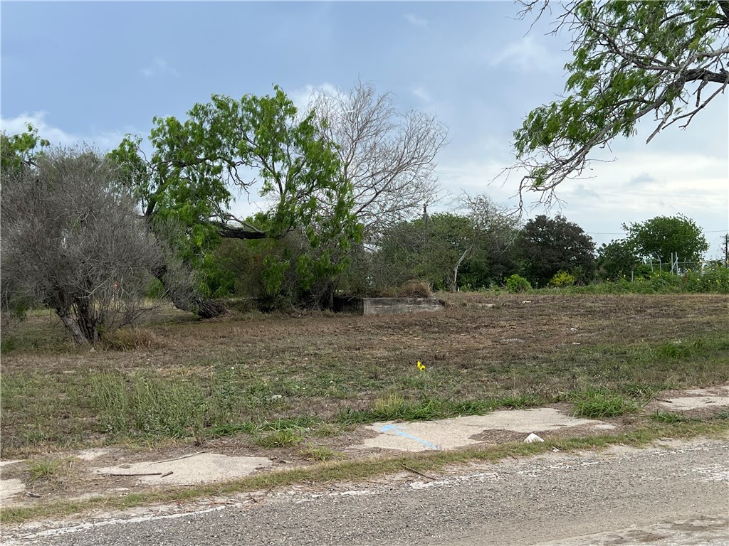 1404 Frank St Property Photo 20
