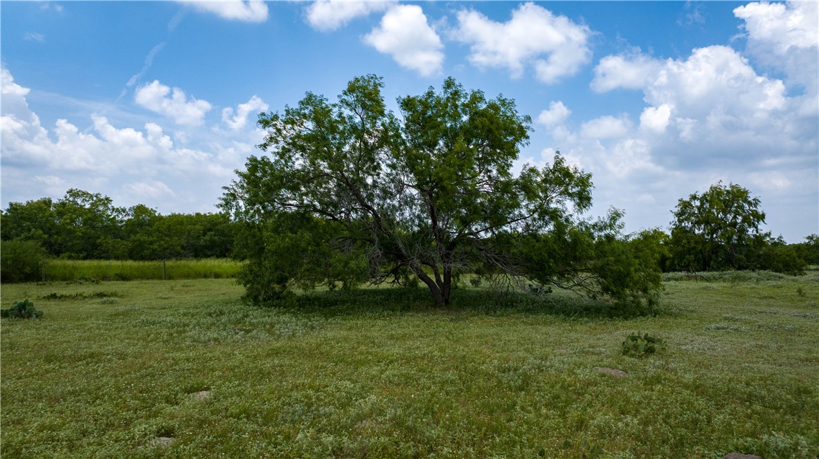 000 Fm 771 Property Photo 9