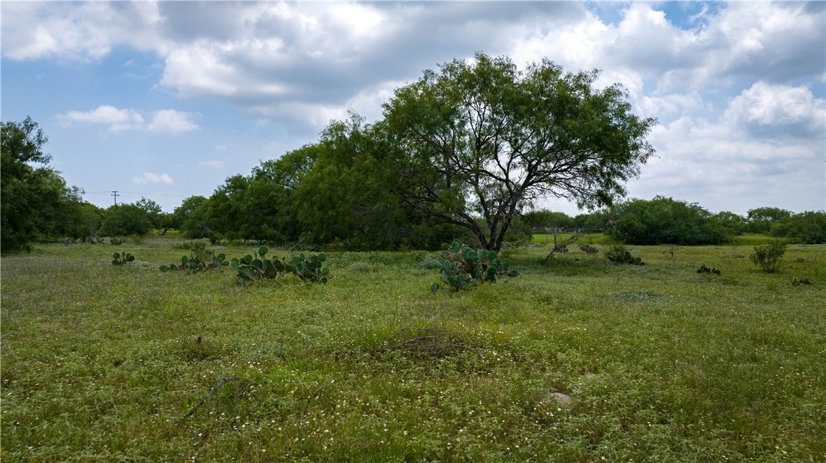 000 Fm 771 Property Photo 13