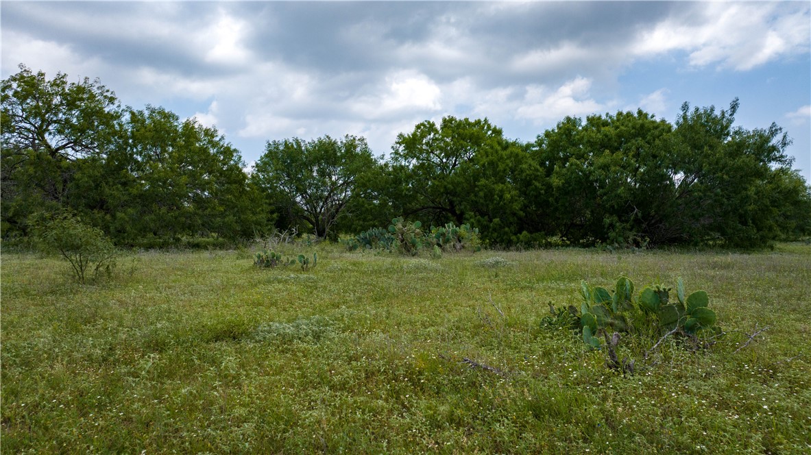 000 Fm 771 Property Photo 14