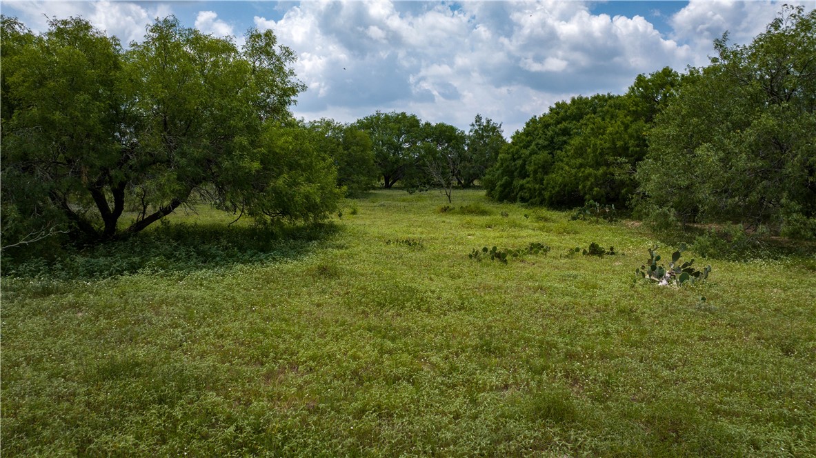 000 Fm 771 Property Photo 15