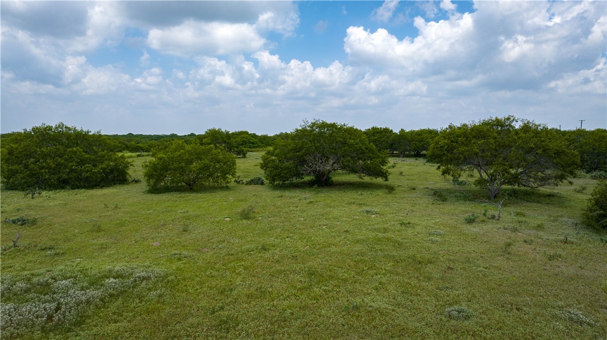 000 Fm 771 Property Photo 20