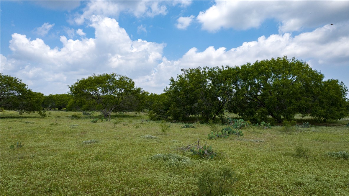 000 Fm 771 Property Photo 21