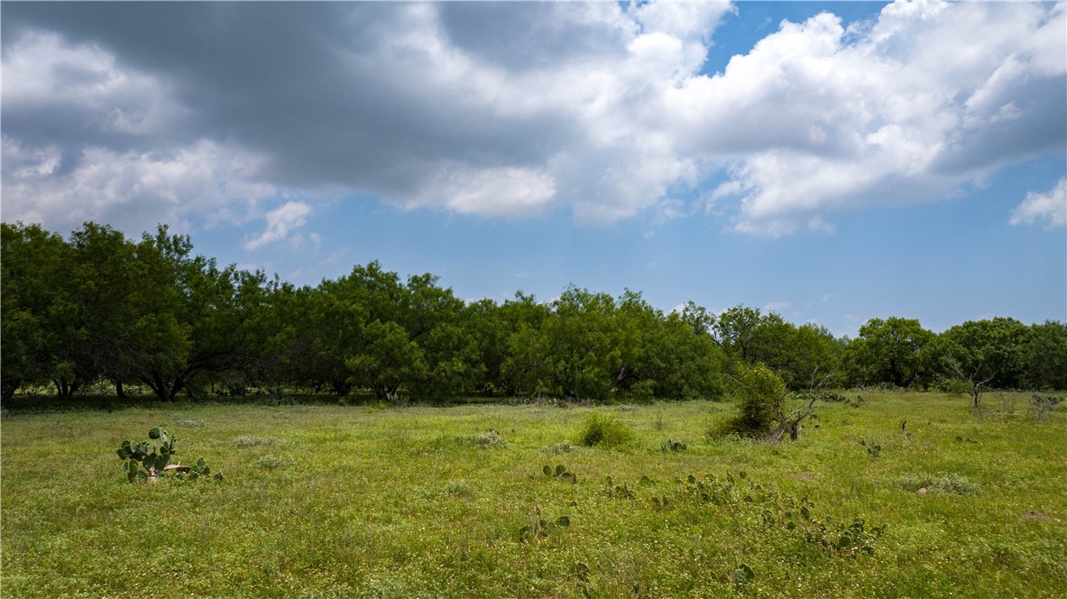 000 Fm 771 Property Photo 22
