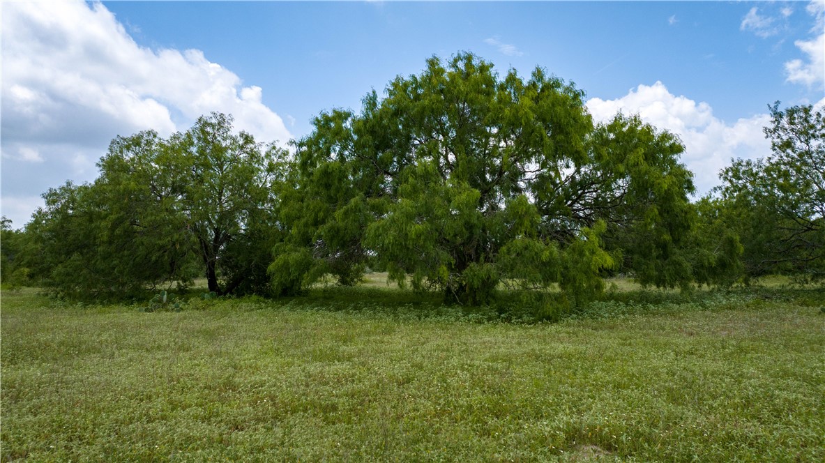 000 Fm 771 Property Photo 28