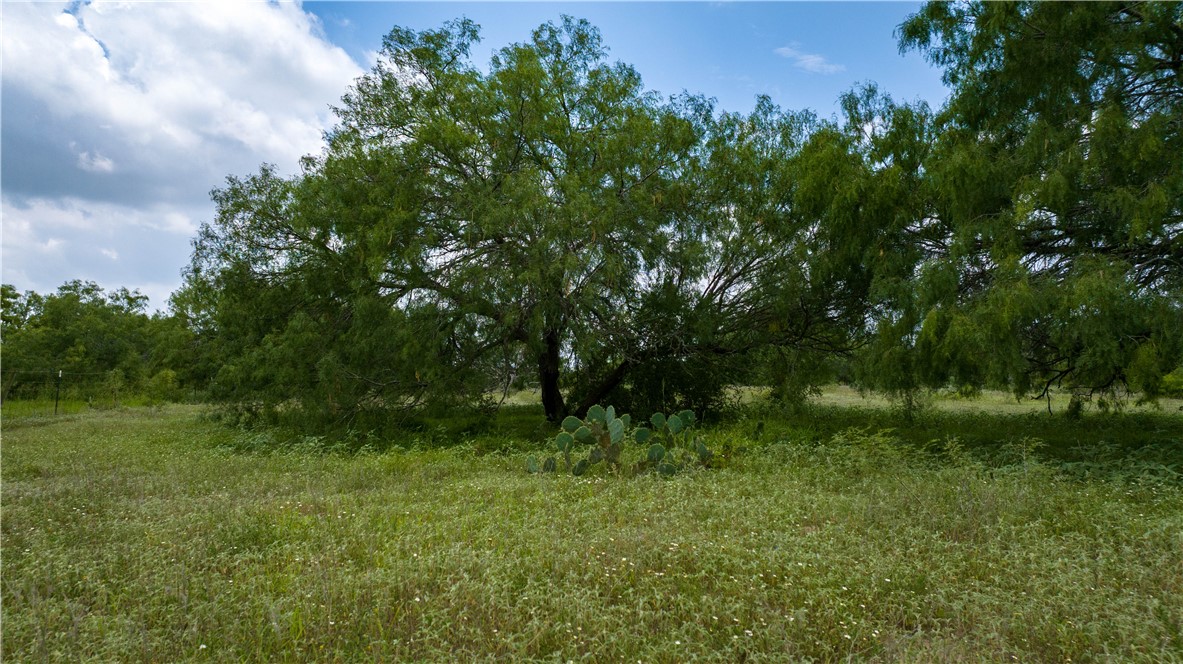000 Fm 771 Property Photo 29