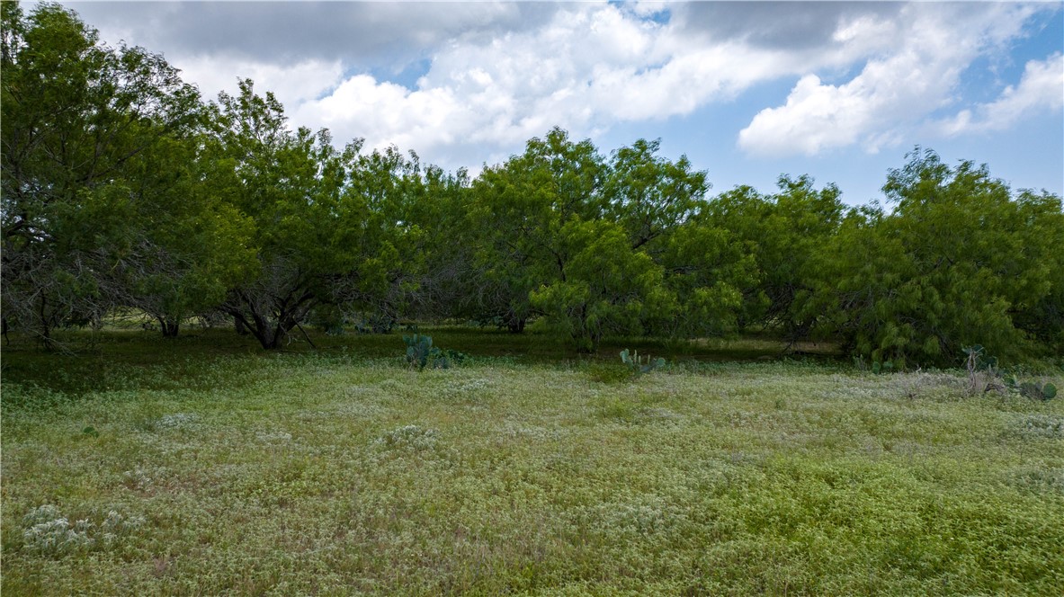 000 Fm 771 Property Photo 30