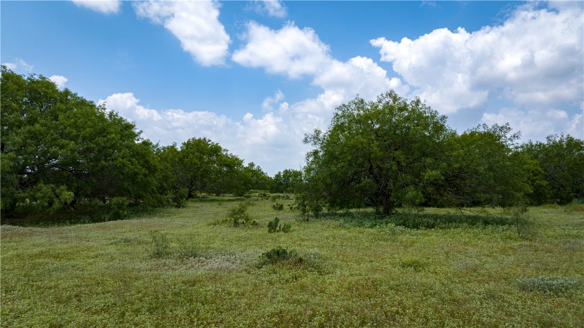 000 Fm 771 Property Photo 36