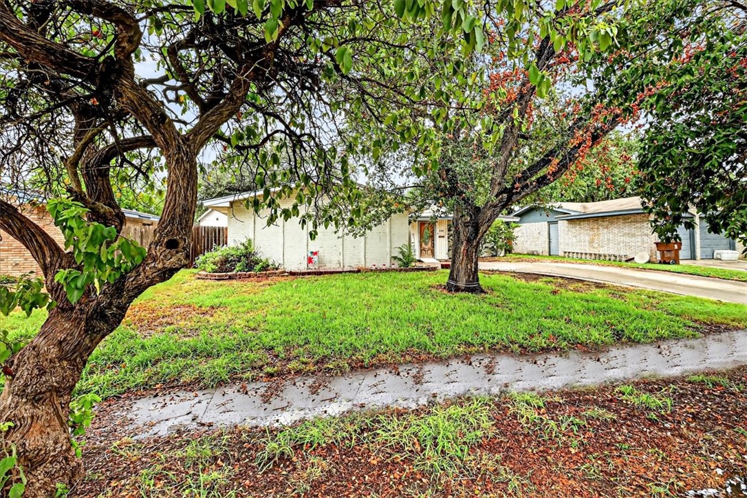 2114 Colorado St Property Photo 39