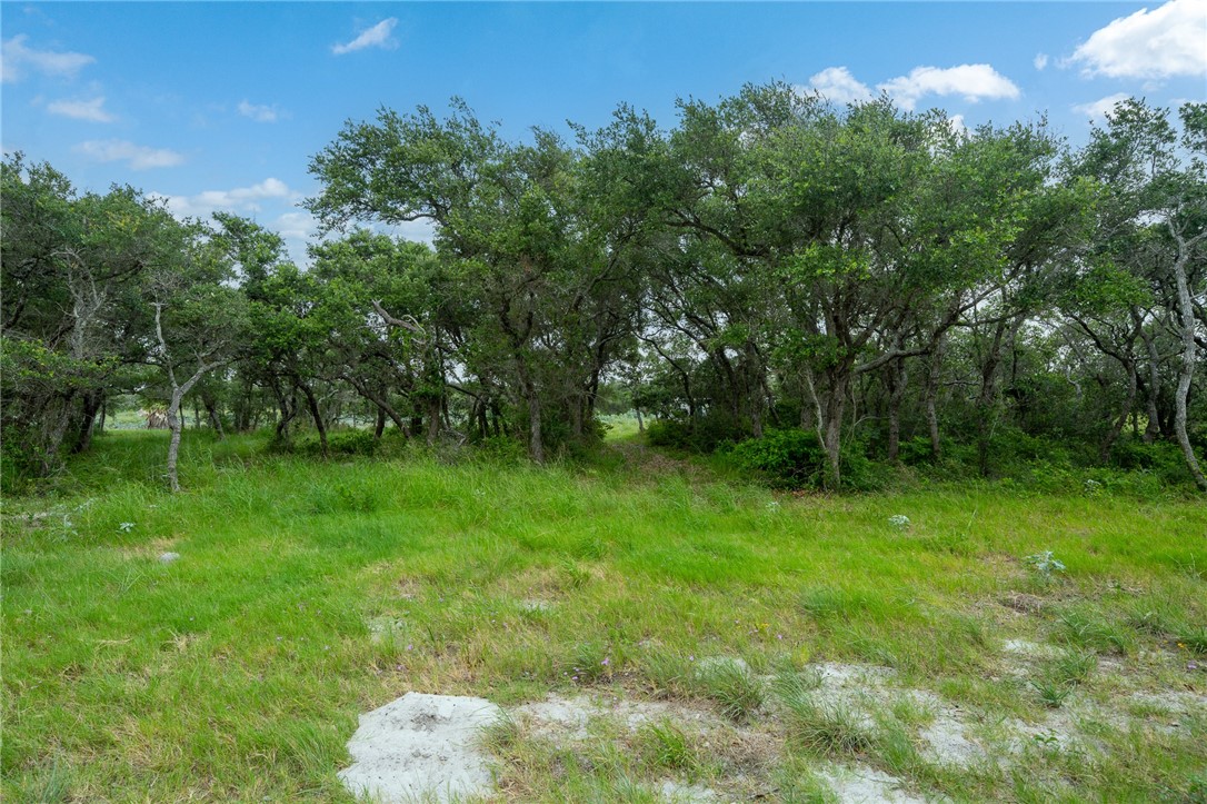 132 Vanderworth Lane Property Photo 1
