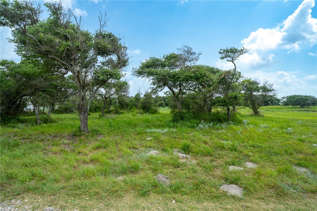 140 Vanderworth Lane Property Photo 3
