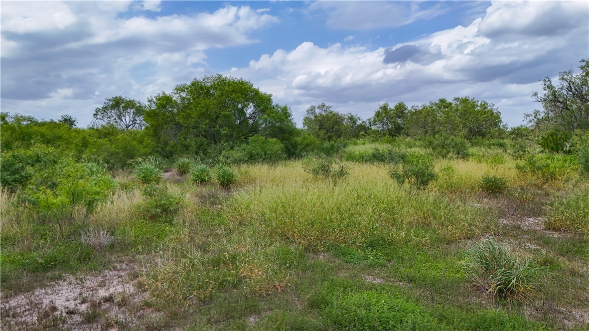 1297 County Road 336 Property Photo 36