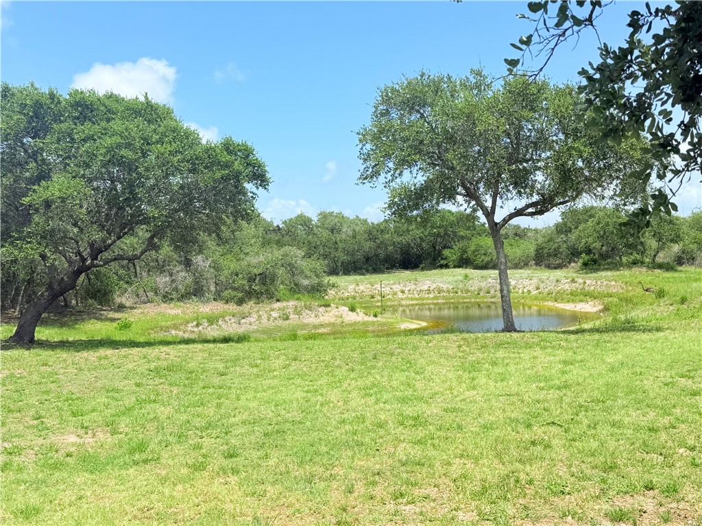 1182 Lee Road Property Photo 32