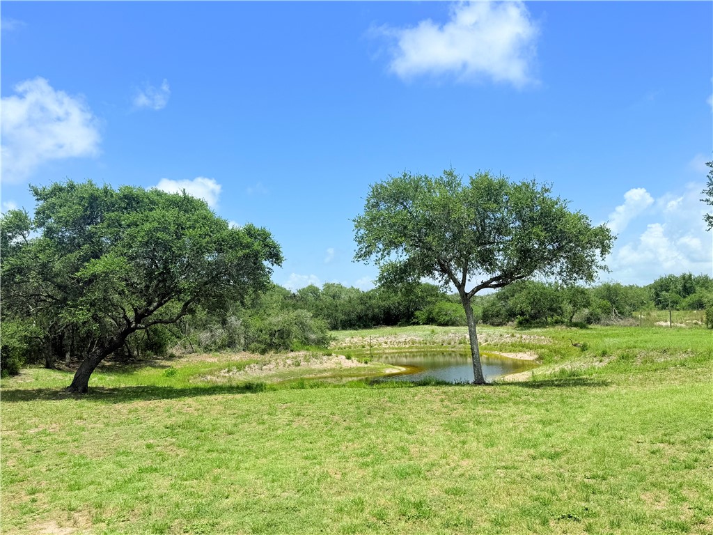 1182 Lee Road Property Photo 33