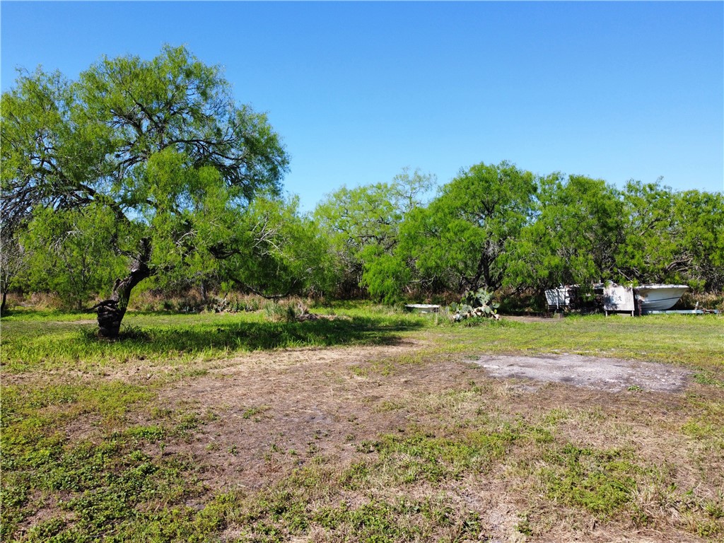 12537 County Road 1344 Property Photo 3