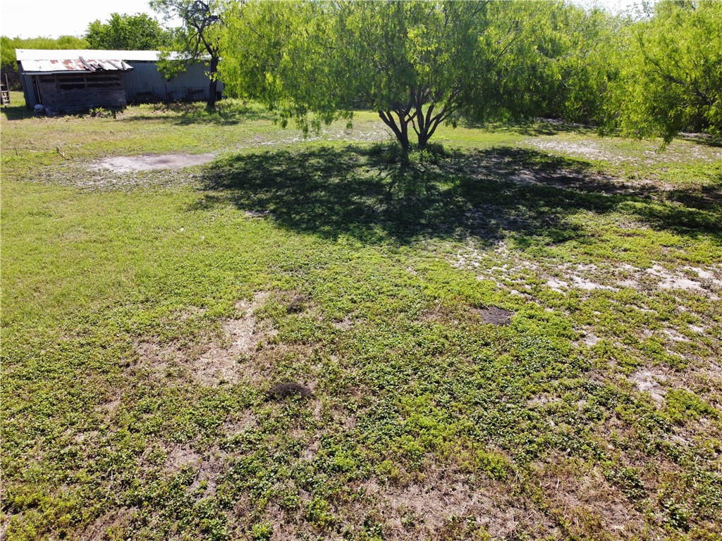 12537 County Road 1344 Property Photo 20