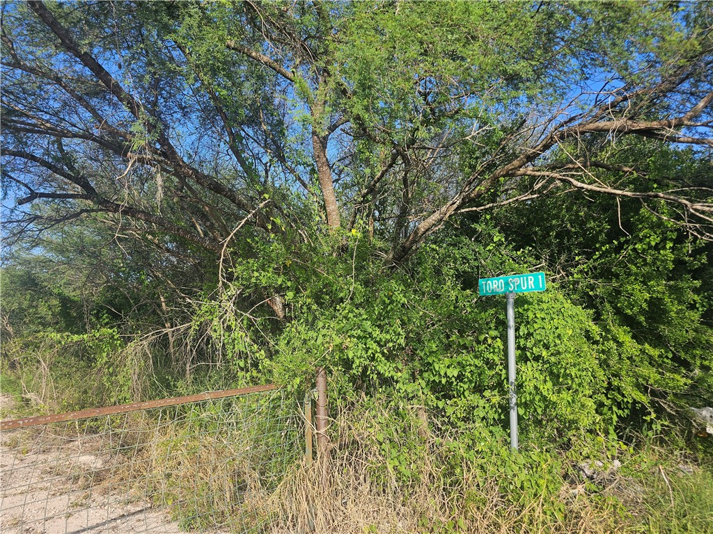 1 Toro Spur Property Photo 3