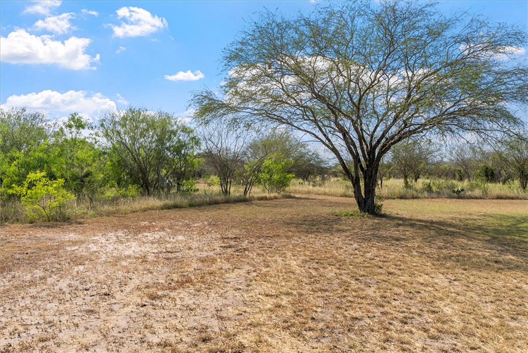226 Private Rd 3251 Property Photo 34