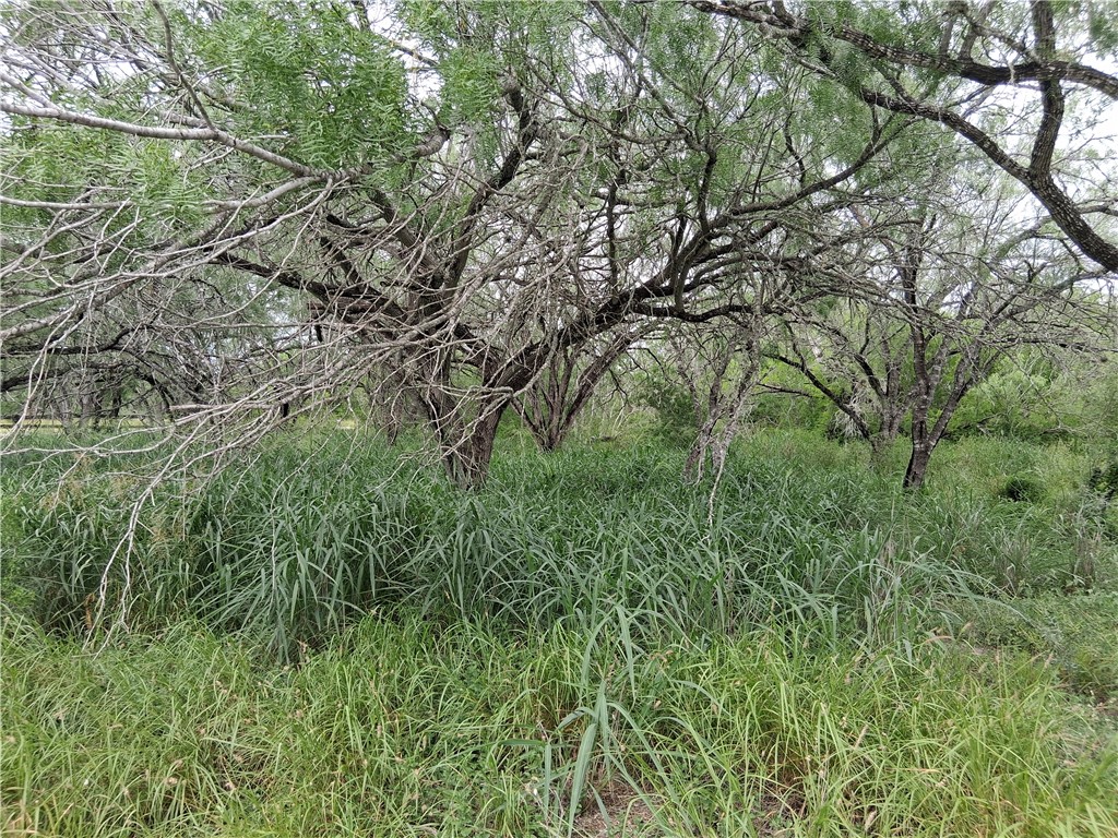0 Swinney Switch Shores Rd Property Photo 1