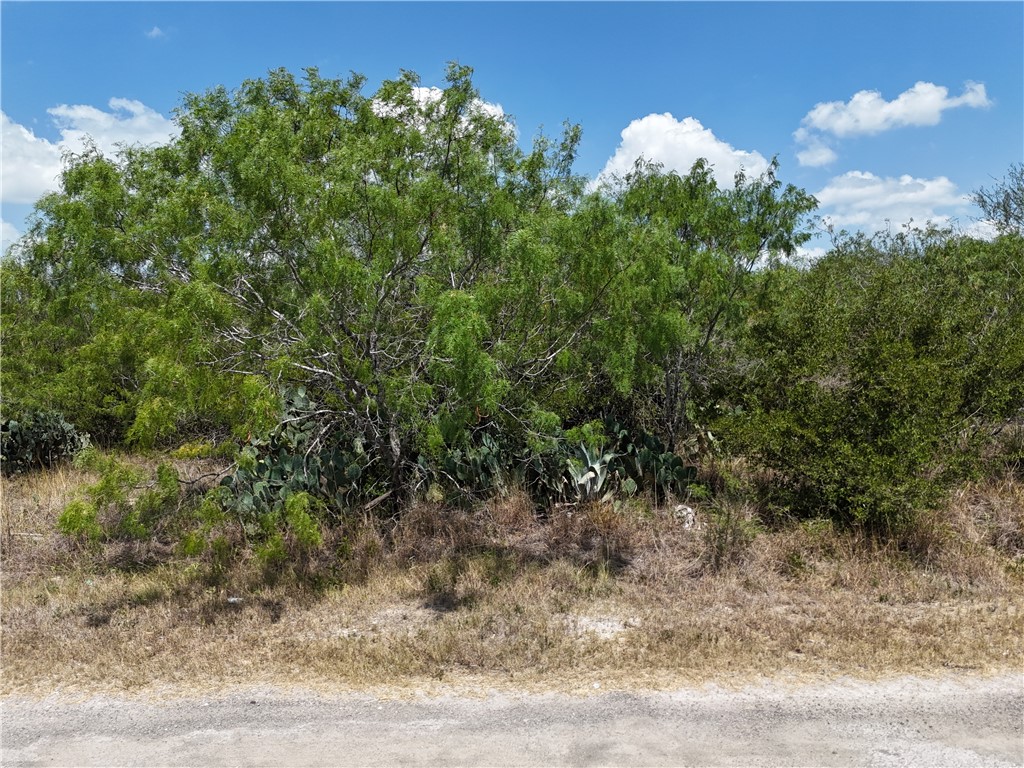 134 County Road 3032 Property Photo 16