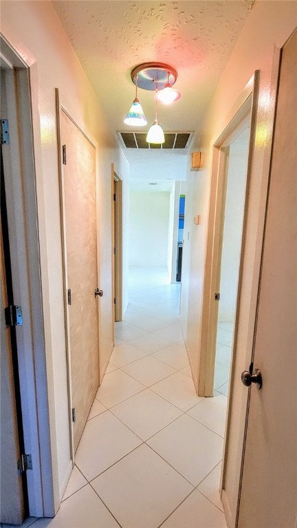 1226 Euclid Cir Property Photo 19