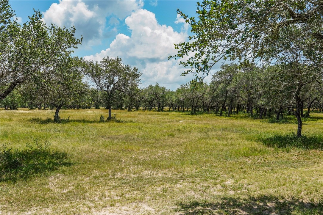 130 Old Goliad Rd. Property Photo 28