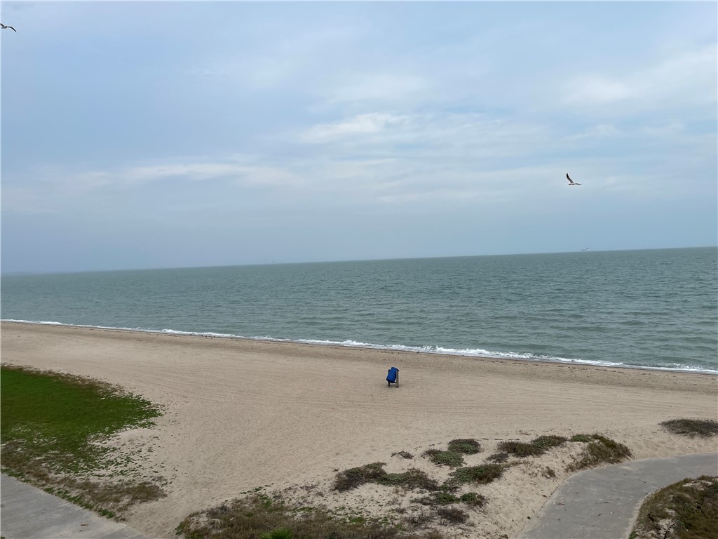 3938 Surfside Blvd Property Photo 29