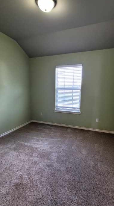 2309 Blue Star Property Photo 9