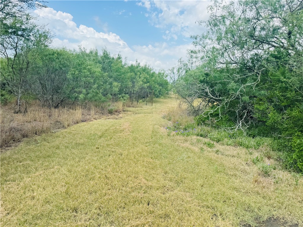 420 County Road 2391 Property Photo 28