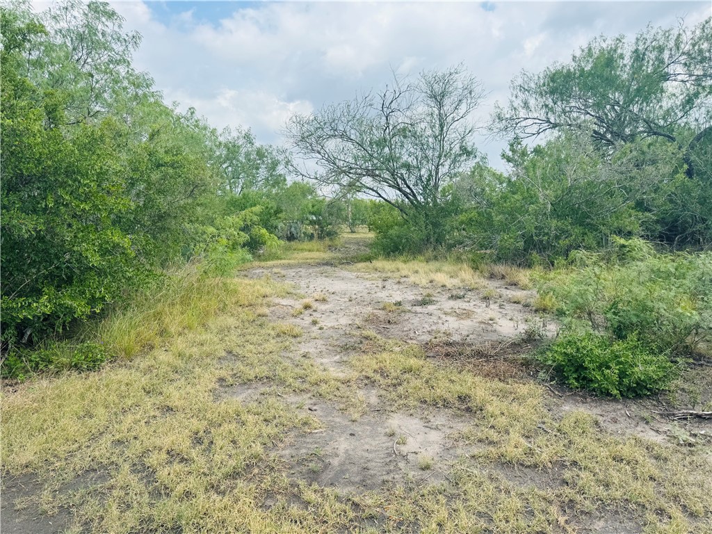 420 County Road 2391 Property Photo 30
