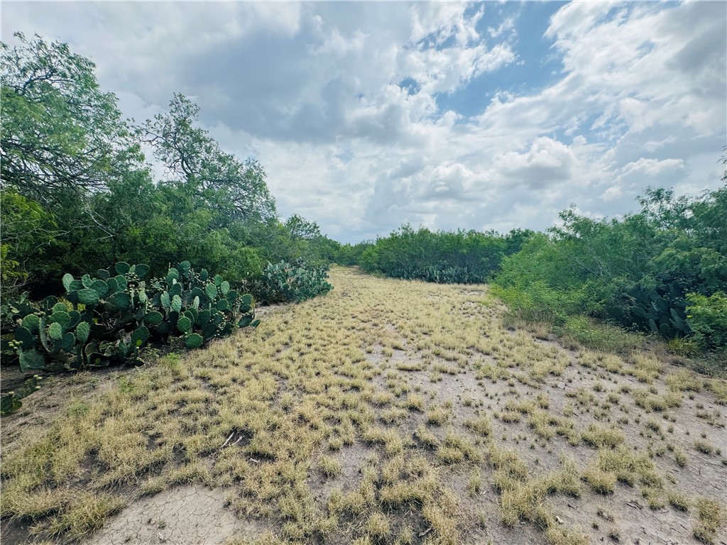420 County Road 2391 Property Photo 32