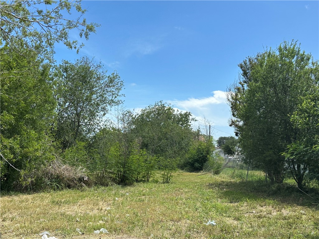 219 Blevins St Property Photo 2