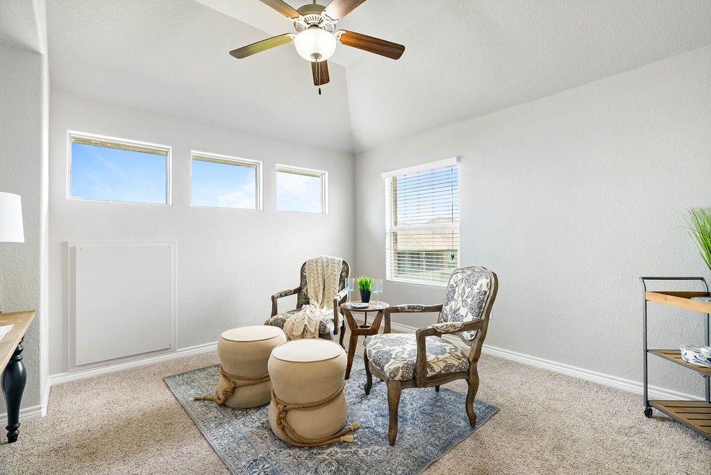 2530 Las Estrellas St Property Photo 22
