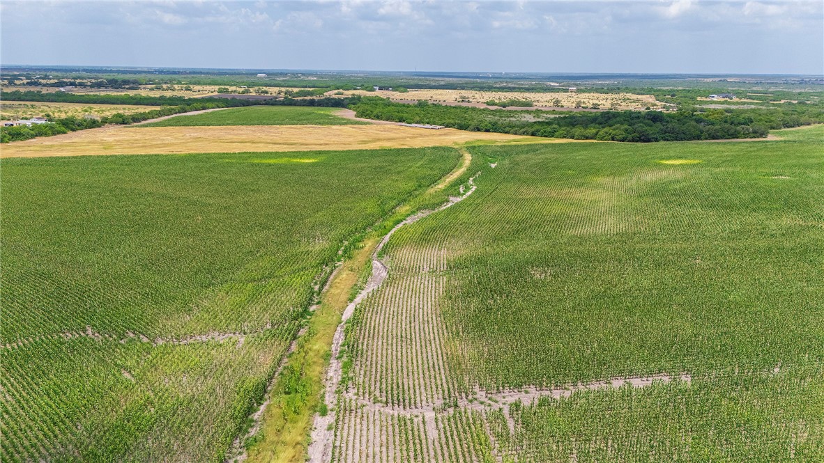 00 Fm 534 & N Fm 738 Property Photo 16