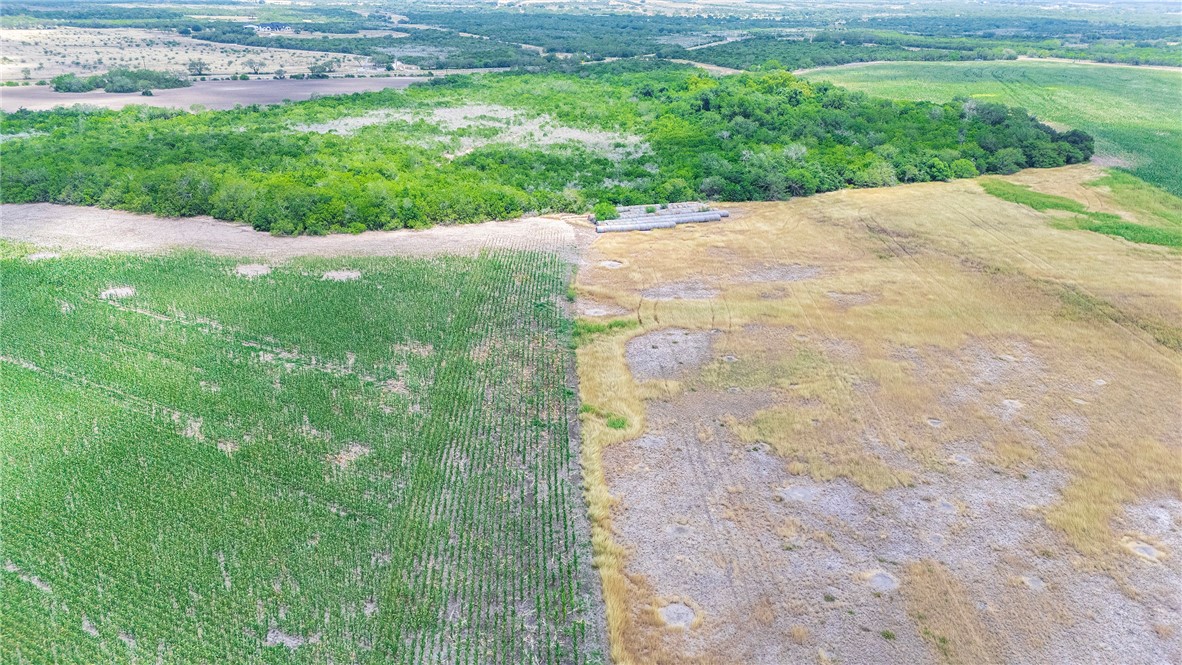 00 Fm 534 & N Fm 738 Property Photo 18