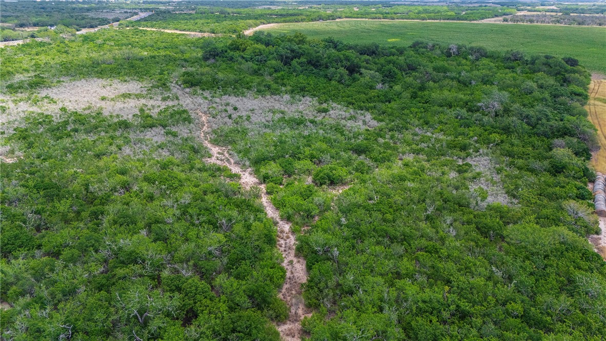 00 Fm 534 & N Fm 738 Property Photo 19