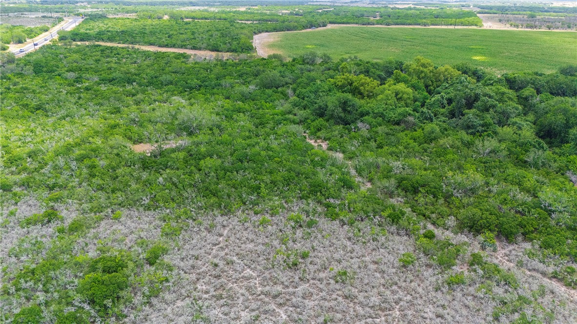 00 Fm 534 & N Fm 738 Property Photo 20