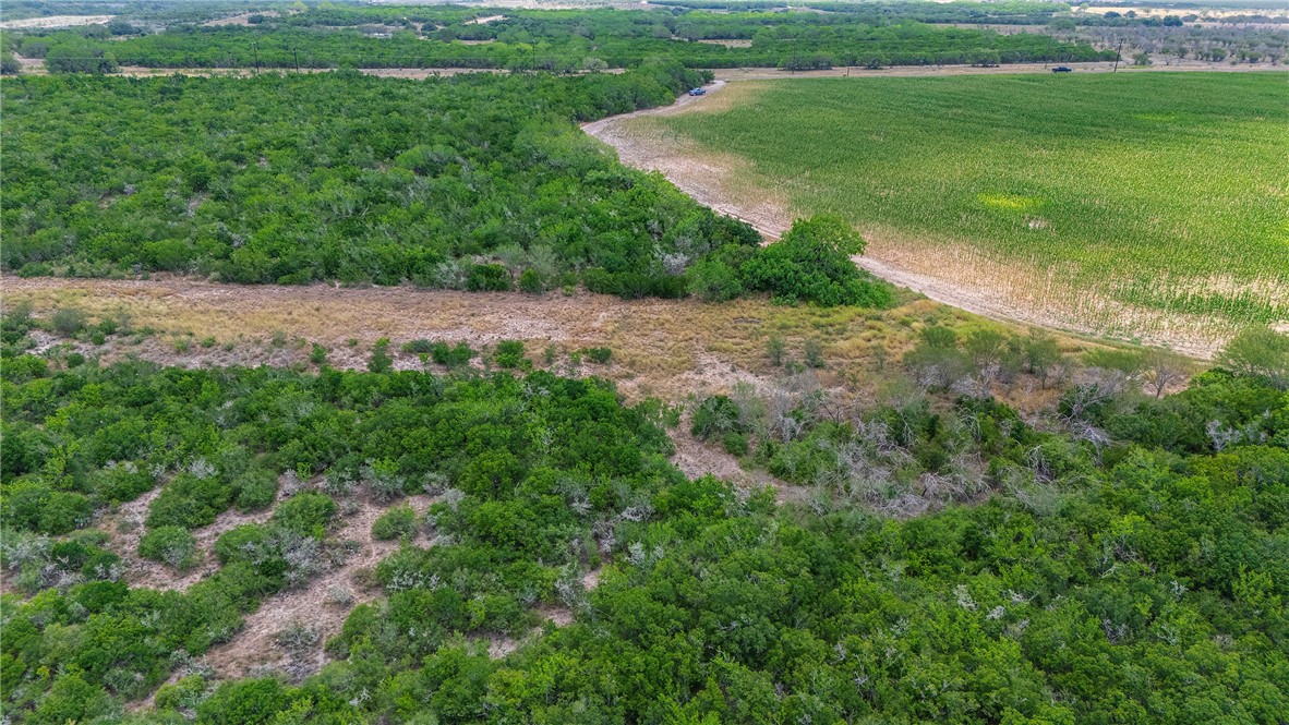00 Fm 534 & N Fm 738 Property Photo 21