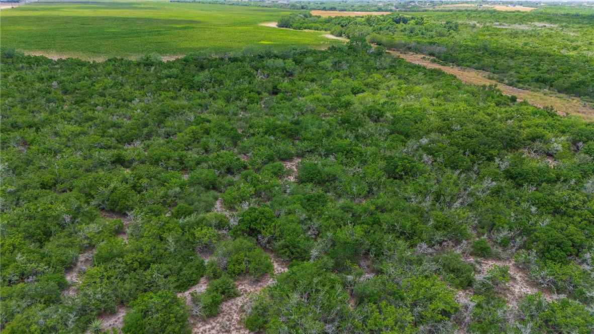 00 Fm 534 & N Fm 738 Property Photo 22