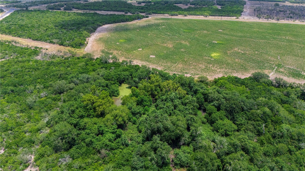 00 Fm 534 & N Fm 738 Property Photo 25