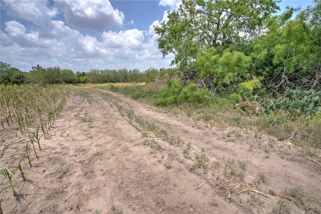 00 Fm 534 & N Fm 738 Property Photo 27