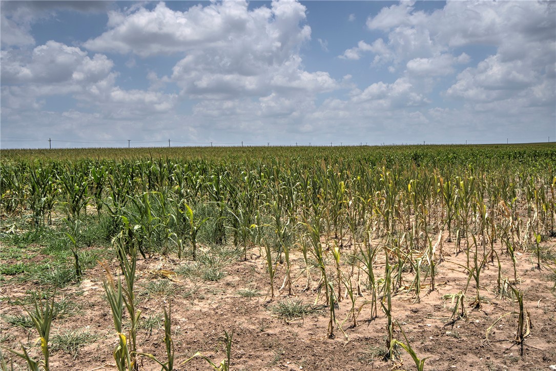 00 Fm 534 & N Fm 738 Property Photo 29