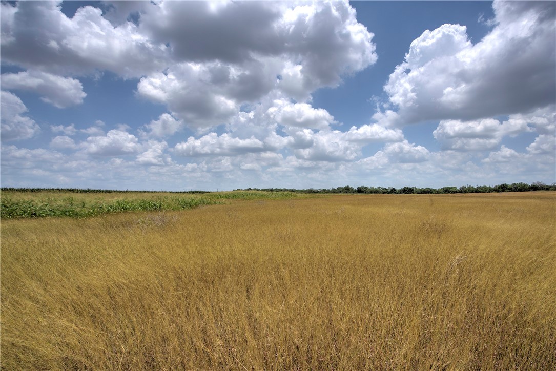 00 Fm 534 & N Fm 738 Property Photo 31