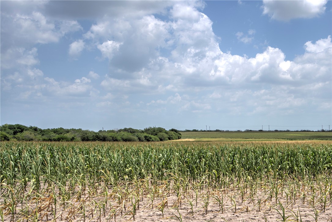 00 Fm 534 & N Fm 738 Property Photo 32