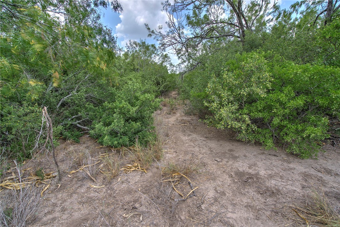 00 Fm 534 & N Fm 738 Property Photo 33