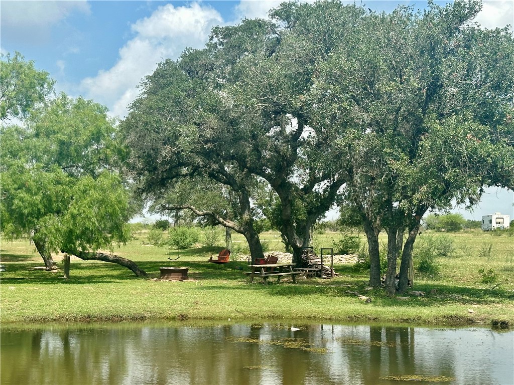 4345 Fm 799 Property Photo 6