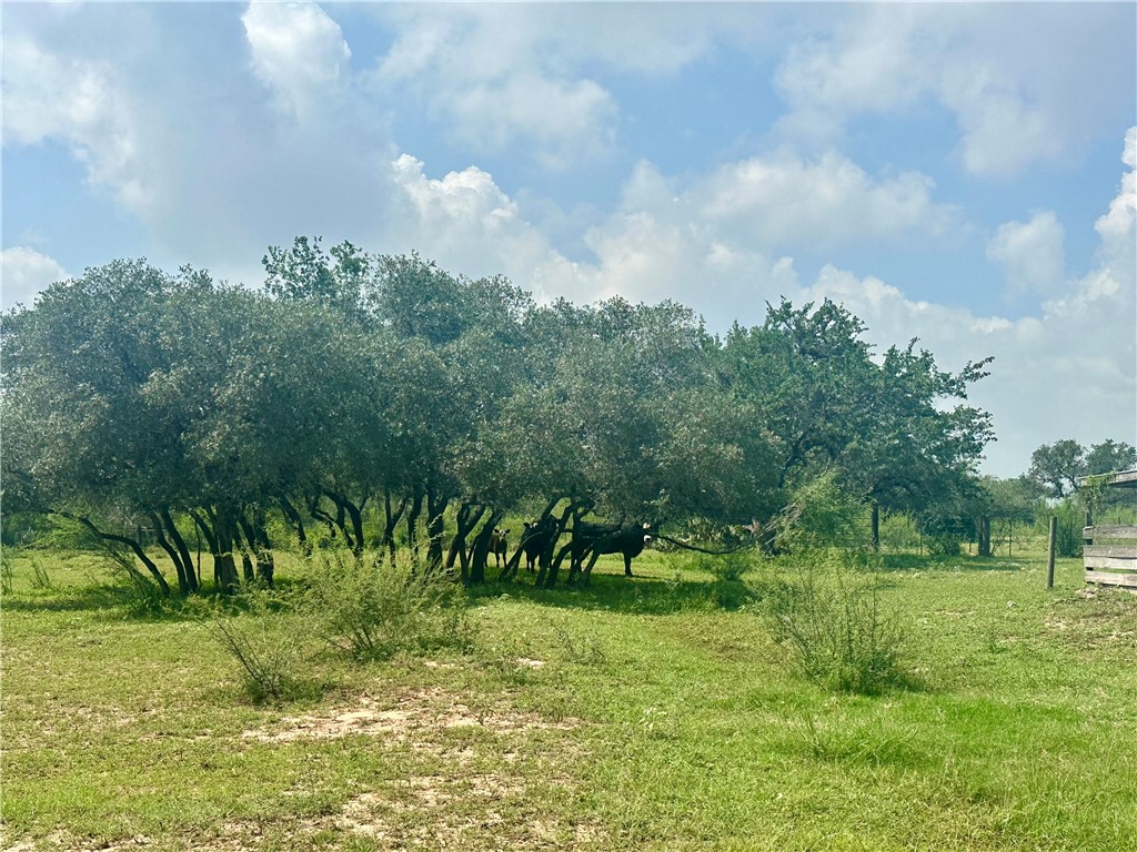 4345 Fm 799 Property Photo 14