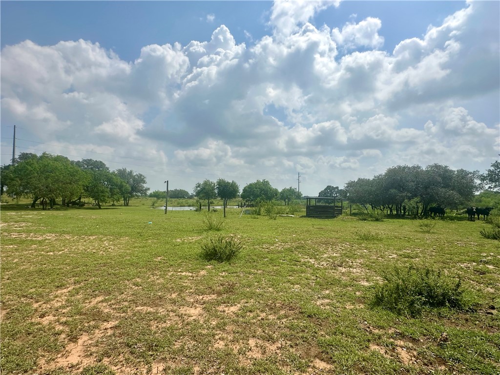 4345 Fm 799 Property Photo 17