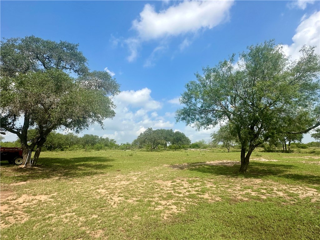 4345 Fm 799 Property Photo 21