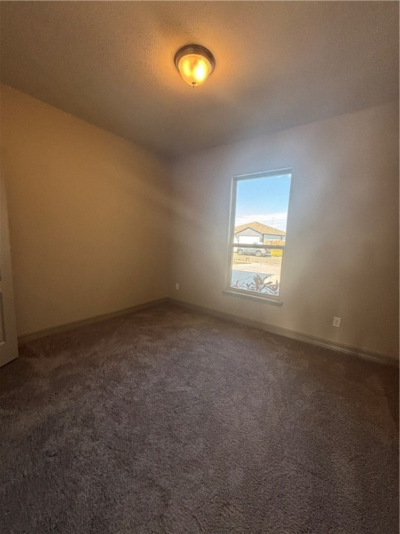 106 Guadalupe Palm Circ Property Photo 16